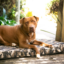 Load image into Gallery viewer, Noble Companion - The Wild Napper OUTDOOR Dog Bed - 4 Colours / 4 sizes