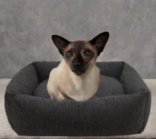 Load image into Gallery viewer, Memory Foam Grey Felt Small Dog Bed - 54cm x 45cm - Small