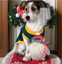 Load image into Gallery viewer, Santa Gonk Christmas 2023 Dog Toy 18 x 23 cm
