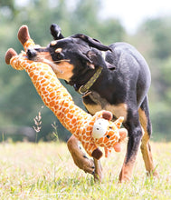 Load image into Gallery viewer, TUG TOY ULTRA LONG Longidude Giraffe - 73cm