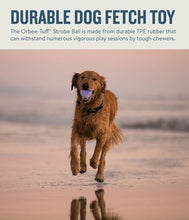 Load image into Gallery viewer, NEW - Planet Dog Orbee-Tuff Strobe Ball Glo