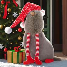 Load image into Gallery viewer, Crinkle Santa Sock Christmas 2023 Dog Toy 23 x 43 cm
