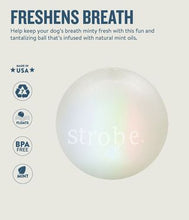 Load image into Gallery viewer, NEW - Planet Dog Orbee-Tuff Strobe Ball Glo