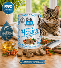 Load image into Gallery viewer, Brit Care Superfruits Crunchy Herring Cat Snacks - 100g