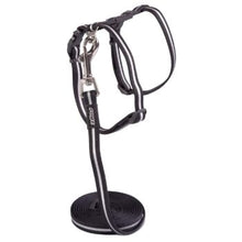 Load image into Gallery viewer, ROGZ Alley Cat SAFETY RELEASE Collar and ROGZ Alley Cat H-Harness with a Lead - Small & X-Small
