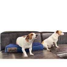 Load image into Gallery viewer, Noble Companion - The Nobel Napper INDOOR Dog Bed - Blue or Grey / 4 sizes