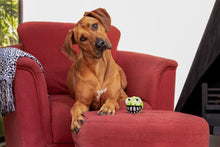 Load image into Gallery viewer, NEW ROGZ Grinz Fetch Frog Dog Toy and the NEW ROGZ Grinz Fetch Puffer Fish