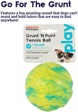 Load image into Gallery viewer, Grunt n Punt Tennis Ball - Green