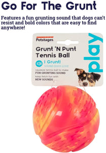 Grunt n Punt Tennis Ball - Green or Pink