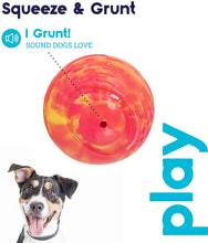 Load image into Gallery viewer, Grunt n Punt Tennis Ball - Green