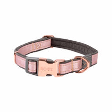 Load image into Gallery viewer, ROGZ Urban Classic Dog Collar - X-Small, Small and Medium Dogs