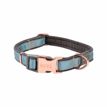 Load image into Gallery viewer, ROGZ Urban Classic Dog Collar - X-Small, Small and Medium Dogs
