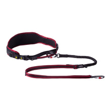 Load image into Gallery viewer, ROGZ Dog Airtech Sport Belt and Lead - Small/Medium or Large/X-Large