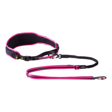 Load image into Gallery viewer, ROGZ Dog Airtech Sport Belt and Lead - Small/Medium or Large/X-Large