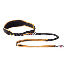 Load image into Gallery viewer, ROGZ Dog Airtech Sport Belt and Lead - Small/Medium or Large/X-Large