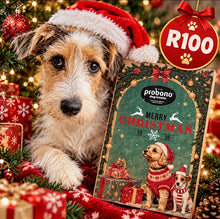 Load image into Gallery viewer, Probono Dog Treats Christmas 2026 Advent Calendar