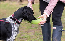 Load image into Gallery viewer, Portable Leaf Travel Water Bottle