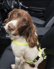 Load image into Gallery viewer, ROGZ Car-Safe Safety Belt Clip