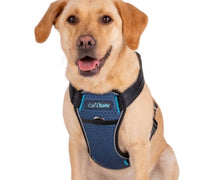 Load image into Gallery viewer, Company of Animals CarSafe Crash-Tested Harness

