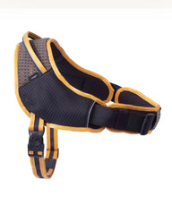 Load image into Gallery viewer, ROGZ Airtech Sport Harness - Small to X-Large