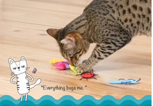 Load image into Gallery viewer, NEW! Catstages Cute as a Bug Plush Cat Toys 6pk - 6cm