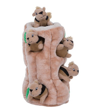 Load image into Gallery viewer, Hide-A-Squirrel Plush Puzzle Dog Toy - Pocket with 3 Squirrels (Small or Medium)