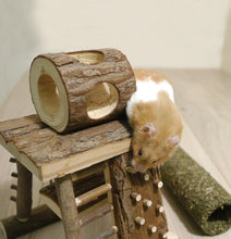 Load image into Gallery viewer, SMALL ANIMALS Activity Climbing Tower 17x17x26cm