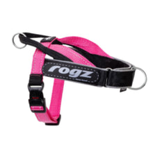 Load image into Gallery viewer, NEW PRODUCT: ROGZ Utility LetzGo Personalised Harness - Medium - Badge Choices: "Always Hungry", "Anxious", "Best Friend", "Bodyguard", "Bok Supporter", "Friendly", "Give Me Space", "In Training", "Do Not Pat", "Working Dog"