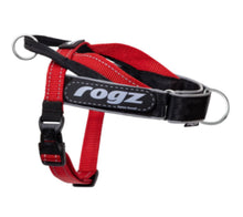 Load image into Gallery viewer, NEW PRODUCT: ROGZ Utility LetzGo Personalised Harness - Medium - Badge Choices: "Always Hungry", "Anxious", "Best Friend", "Bodyguard", "Bok Supporter", "Friendly", "Give Me Space", "In Training", "Do Not Pat", "Working Dog"