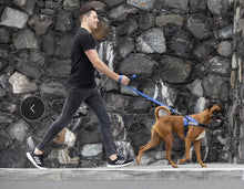 Load image into Gallery viewer, NEW PRODUCT: ROGZ Utility LetzGo Personalised Harness - Medium - Badge Choices: "Always Hungry", "Anxious", "Best Friend", "Bodyguard", "Bok Supporter", "Friendly", "Give Me Space", "In Training", "Do Not Pat", "Working Dog"