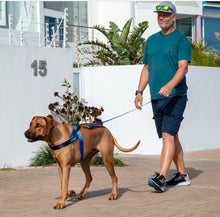 Load image into Gallery viewer, NEW PRODUCT: ROGZ Utility LetzGo Personalised Harness - Extra Large - Badge Choices: "Always Hungry", "Anxious", "Best Friend", "Bodyguard", "Bok Supporter", "Friendly", "Give Me Space", "In Training", "Do Not Pat", "Working Dog"