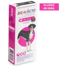 Load image into Gallery viewer, Bravecto Chewable Tab Flea Treatment for Small, Medium, Large & X-Large Dogs