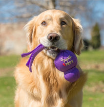 Load image into Gallery viewer, Kong Wubba Dog Toy - Small, Large, X-Large