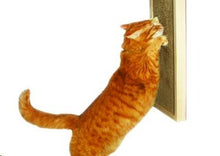Load image into Gallery viewer, Deluxe Honeycomb Cat Scratcher Wall Unit (59.2cm x 22.6cm x 3.5cm)