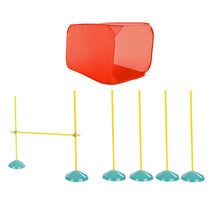 Load image into Gallery viewer, ZipZoom Indoor Agility Kit