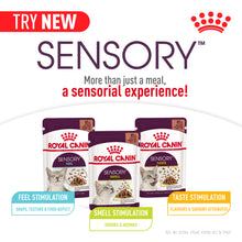 Load image into Gallery viewer, Royal Canin FHN Sensory Wet Food Pouches Variety Box