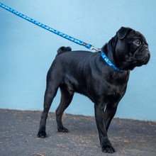 Load image into Gallery viewer, ROGZ Small/Medium Dogs Fashion Classic Lead - 1,8m