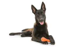 Load image into Gallery viewer, West Paw Zogoflex - Original, Tough Toys: Hurley