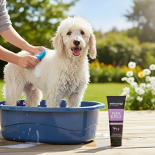 Load image into Gallery viewer, Animology Flea & Tick - French Poodle Lifestyle