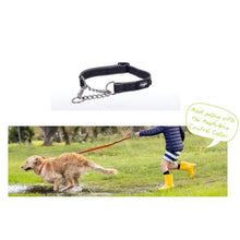 Load image into Gallery viewer, ROGZ Dog Amphibian Control Collar Chain