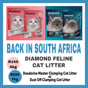 Back in South Africa!  Diamond Feline Litter