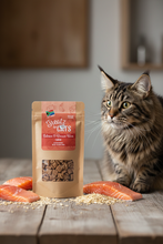 Load image into Gallery viewer, Treatz for Cats Salmon & Brown Rice cat treats 80g lifestyle shot with Maine Coon cat