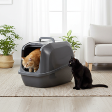 Load image into Gallery viewer, Moderna Mega Deluxe Cool Grey Cat Toilet lifestyle image with two cats