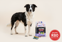 Load image into Gallery viewer, Montego Bags O' Wags Crunchies Nicely Iced Dog Biscuits - lifestyle sale image R80 while stocks last