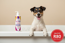 Load image into Gallery viewer, Xenpet Montego Geranium & Buchu Conditioning Shampoo - Dog in bath with sale badge R80