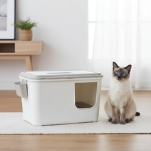 Load image into Gallery viewer, Moderna Casetta Camelia with Siamese Cat