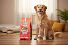 Load image into Gallery viewer, Monty & Me Essential Beef Recipe Lifestyle