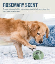 Load image into Gallery viewer, NEW! Petstages Planet Dog Ball - Treat Dispensing