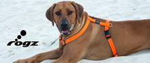 Load image into Gallery viewer, ROGZ Classic Adjustable Dog H-Harness