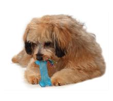 Load image into Gallery viewer, Orka Bone Mini Dog Toy for Small Breed Dogs - 16 x 14cm